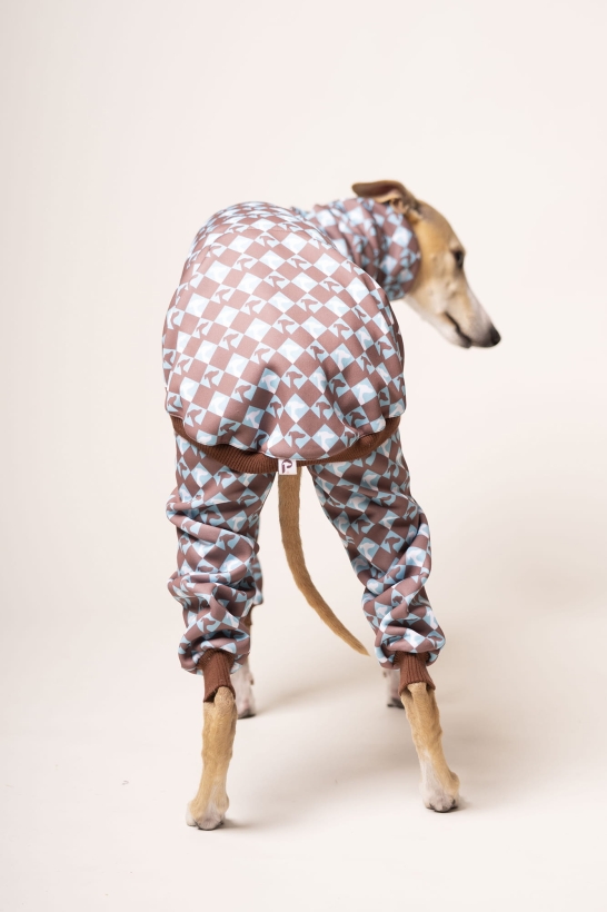 kombinezon dwuczęściowy dla charta z odpinanymi spodniami