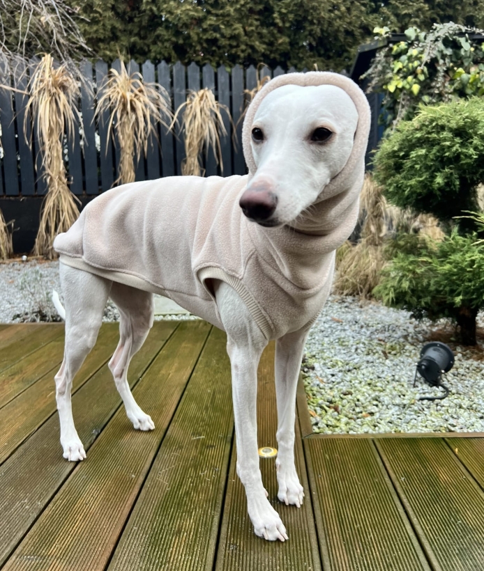 bezrękawnik polarowy dla charta